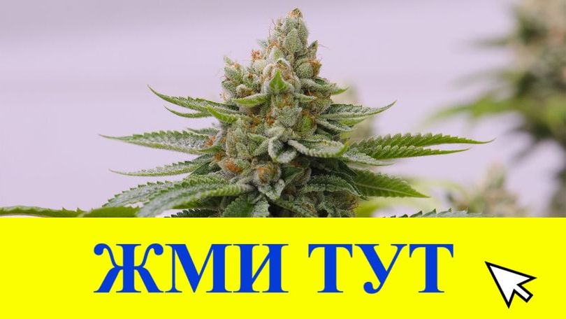 Купить наркотики в Талице